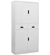 loibinfen Metal Storage Cabinet with 2 Drawers and 3 Adjustable Shelves, Gray Steel Office Cabine...