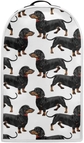 Dachshund Dog