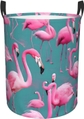 A Flock Of Flamingos