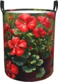 Red Geraniums