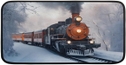 Winter Trian Pattern