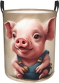 Naughty Pig Baby