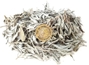 White Sage 1 LB