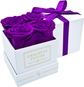 Purple, White Box