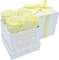 Light Yellow, White Box