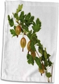 15x22 Hand Towel