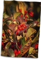 15x22 Hand Towel